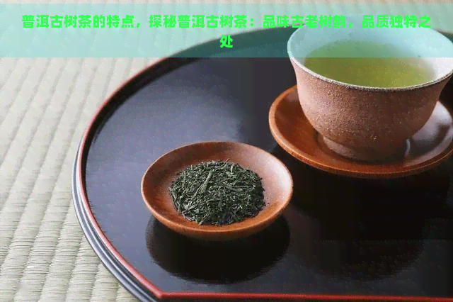 普洱古树茶的特点，探秘普洱古树茶：品味古老树韵，品质独特之处