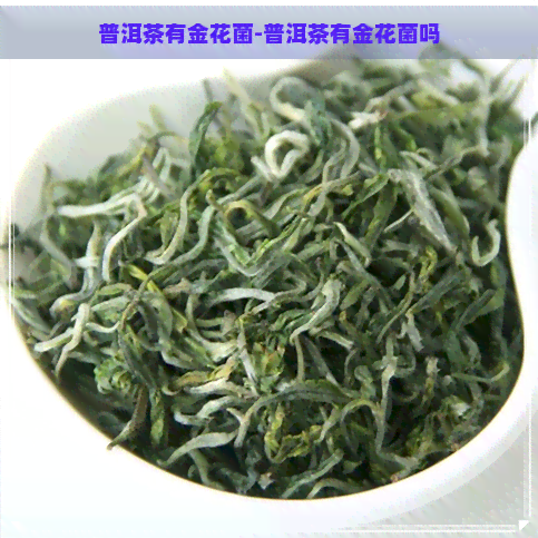 普洱茶有金花菌-普洱茶有金花菌吗