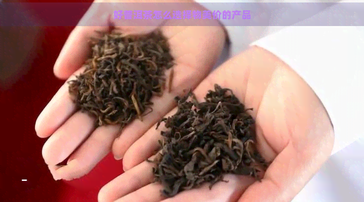 好普洱茶怎么选择物美价的产品