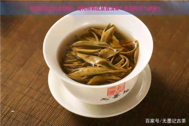 好普洱茶怎么选好坏，如何辨别优质普洱茶？选购技巧大揭秘！