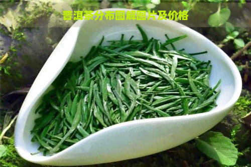 普洱茶分布图解图片及价格