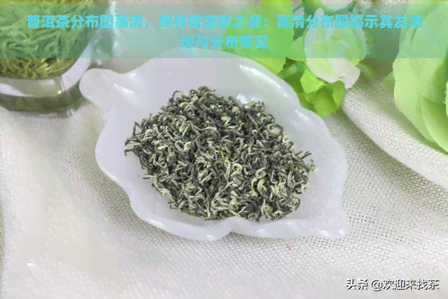 普洱茶分布图高清，探寻普洱茶之源：高清分布图揭示其发源地与分布情况