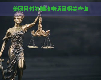 美团月付的电话及相关查询