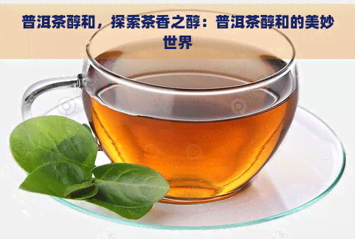 普洱茶醇和，探索茶香之醇：普洱茶醇和的美妙世界