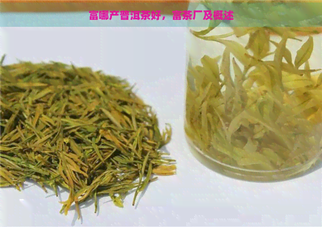 富哪产普洱茶好，富茶厂及概述