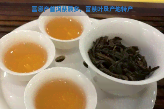 富哪产普洱茶最多，富茶叶及产地特产