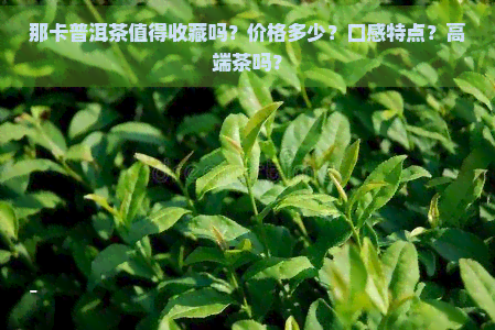 那卡普洱茶值得收藏吗？价格多少？口感特点？高端茶吗？