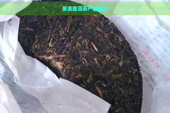 景滇普洱茶产地图片