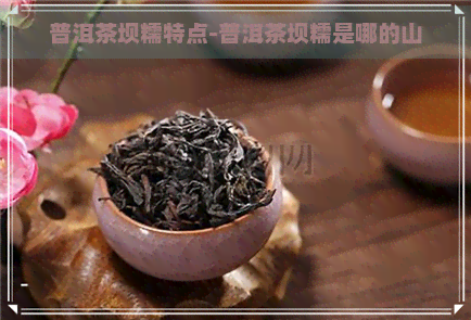 普洱茶坝糯特点-普洱茶坝糯是哪的山