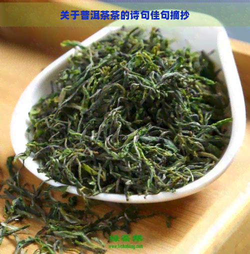 关于普洱茶茶的诗句佳句摘抄