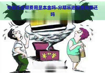 逾期费用是本金吗-逾期费用要还吗