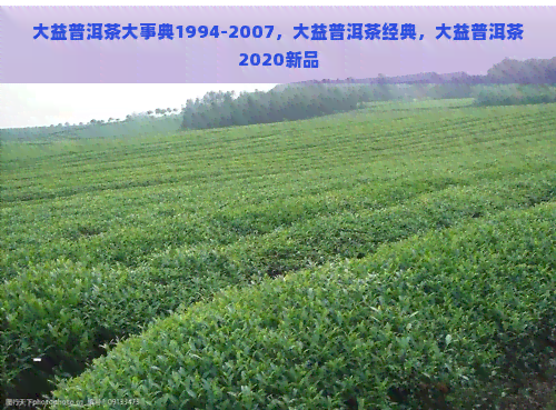 大益普洱茶大事典1994-2007，大益普洱茶经典，大益普洱茶2020新品