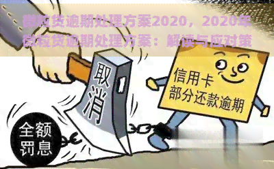 微粒贷逾期处理方案2020，2020年微粒贷逾期处理方案：解读与应对策略