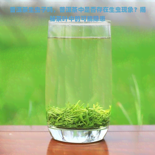 普洱茶生虫子吗，普洱茶中是否存在生虫现象？揭秘茶叶中的可能隐患