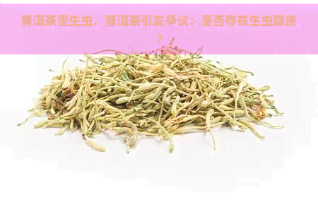 普洱茶里生虫，普洱茶引发争议：是否存在生虫隐患？