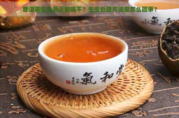 普洱茶生虫后还能喝不？生虫处理方法是怎么回事？