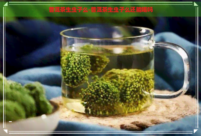 普洱茶生虫子么-普洱茶生虫子么还能喝吗