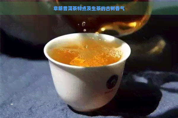 章朗普洱茶特点及生茶的古树香气