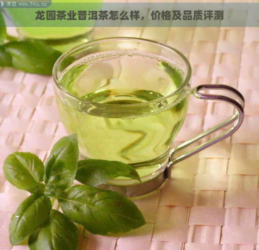 龙园茶业普洱茶怎么样，价格及品质评测