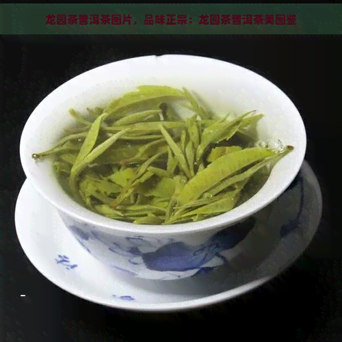 龙园茶普洱茶图片，品味正宗：龙园茶普洱茶美图鉴