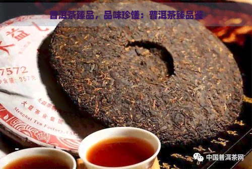 普洱茶臻品，品味珍馐：普洱茶臻品鉴