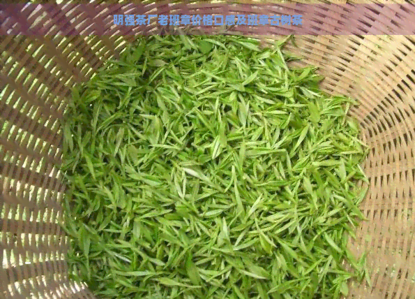 明强茶厂老班章价格口感及班章古树茶