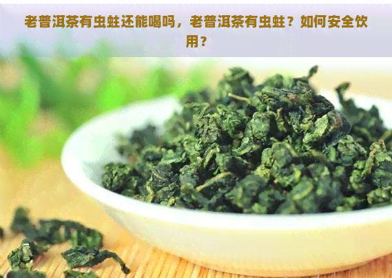 老普洱茶有虫蛀还能喝吗，老普洱茶有虫蛀？如何安全饮用？