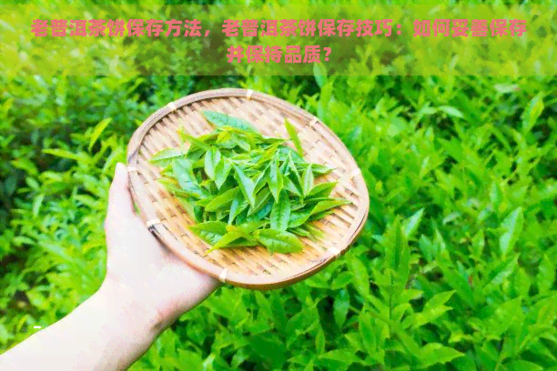 老普洱茶饼保存方法，老普洱茶饼保存技巧：如何妥善保存并保持品质？