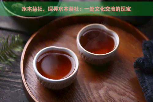 水木茶社，探寻水木茶社：一处文化交流的瑰宝