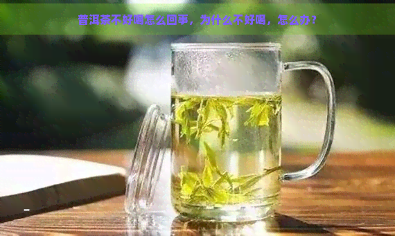 普洱茶不好喝怎么回事，为什么不好喝，怎么办？