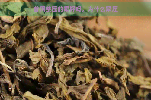 普洱茶压的紧好吗，为什么紧压