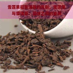 雪莲果和普洱茶的区别，雪莲果与普洱茶：品味之间的差异