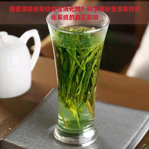 喝普洱茶会影响女性消化吗？科学解析普洱茶对消化系统的真正影响