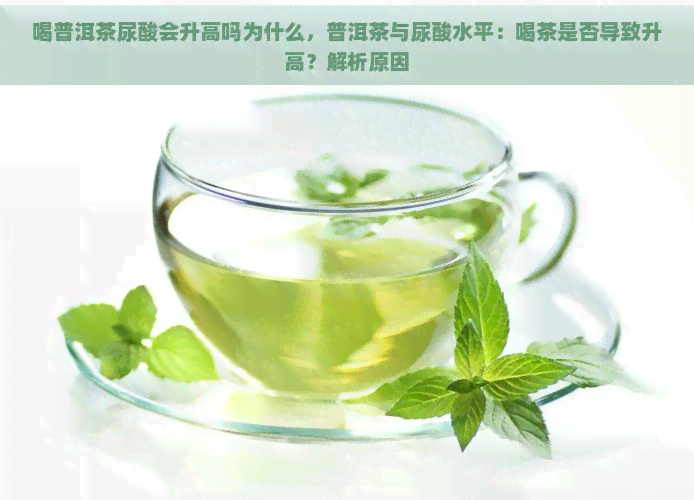 喝普洱茶尿酸会升高吗为什么，普洱茶与尿酸水平：喝茶是否导致升高？解析原因