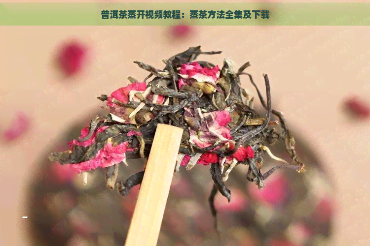 普洱茶蒸开视频教程：蒸茶方法全集及下载