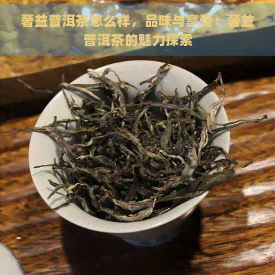 奢益普洱茶怎么样，品味与享受：奢益普洱茶的魅力探索