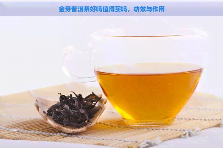 金芽普洱茶好吗值得买吗，功效与作用