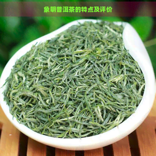 象明普洱茶的特点及评价