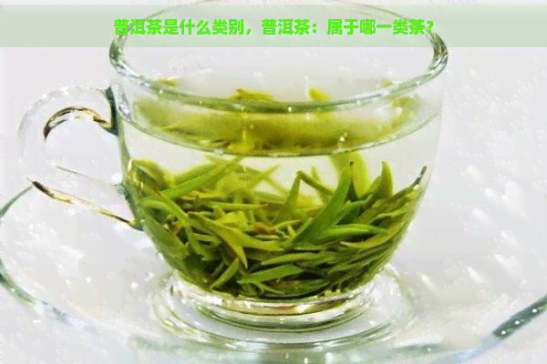 普洱茶是什么类别，普洱茶：属于哪一类茶？