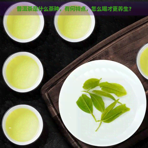 普洱茶是什么茶种，有何特点，怎么喝才更养生？