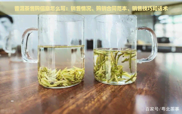 普洱茶售购信息怎么写：销售情况、购销合同范本、销售技巧和话术