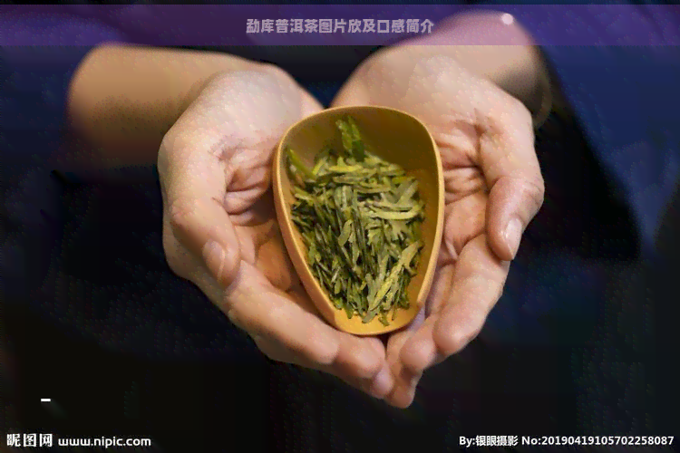 勐库普洱茶图片欣及口感简介