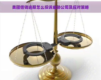 美团借钱逾期怎么投诉公司及应对策略