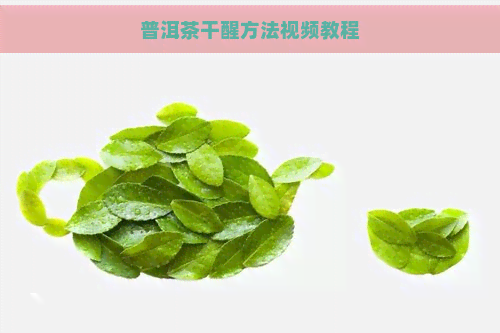 普洱茶干醒方法视频教程