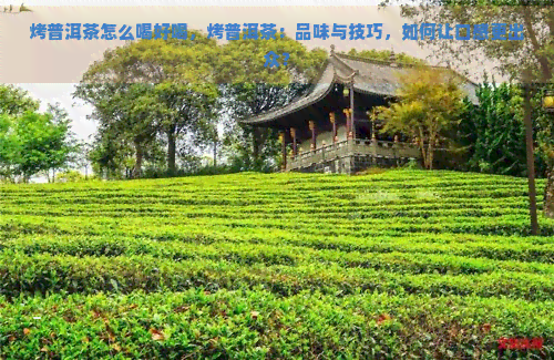 烤普洱茶怎么喝好喝，烤普洱茶：品味与技巧，如何让口感更出众？