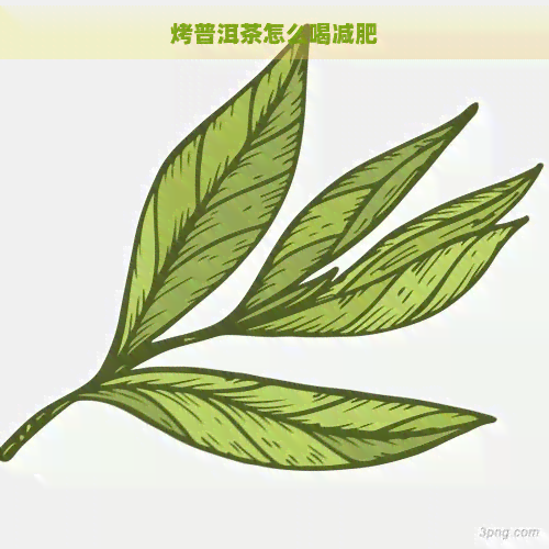 烤普洱茶怎么喝减肥