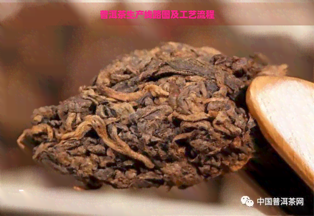 普洱茶生产线路图及工艺流程