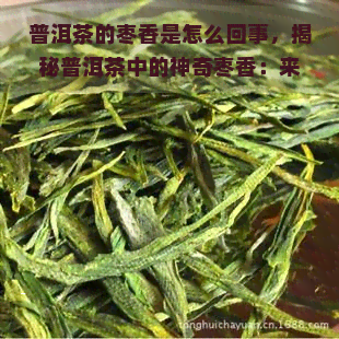 普洱茶的枣香是怎么回事，揭秘普洱茶中的神奇枣香：来看看它的来龙去脉！