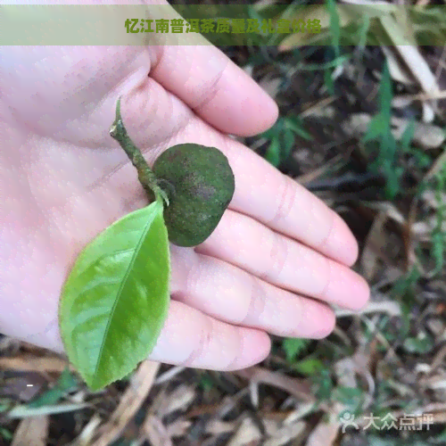 忆江南普洱茶质量及礼盒价格