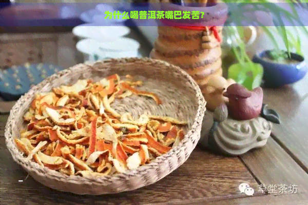 为什么喝普洱茶嘴巴发苦？